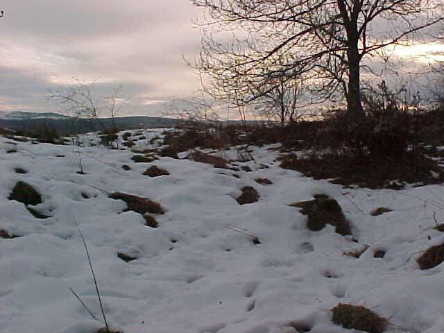 NH54NW0013 c.jpg