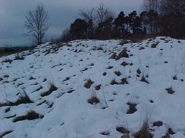 NH54NW0013 e.jpg