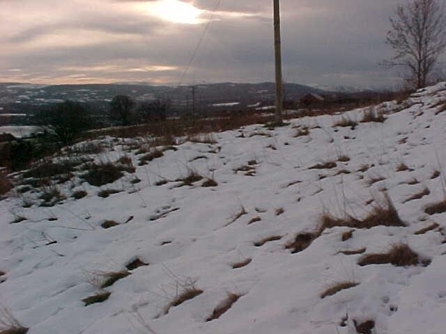 NH54NW0013 f.jpg