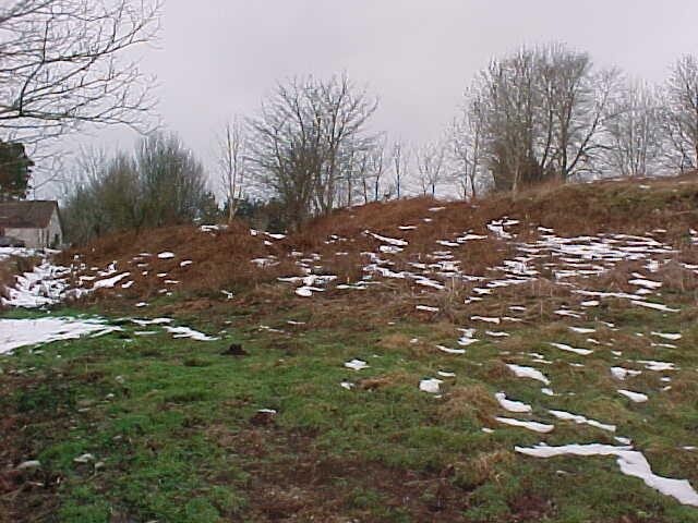 NH54NW0013 g.jpg