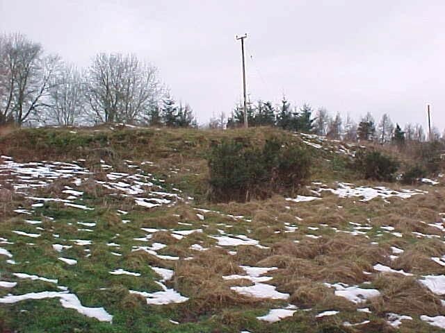 NH54NW0013 h.jpg