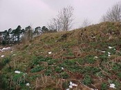 NH54NW0013 i.jpg