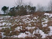 NH54NW0013 k.jpg