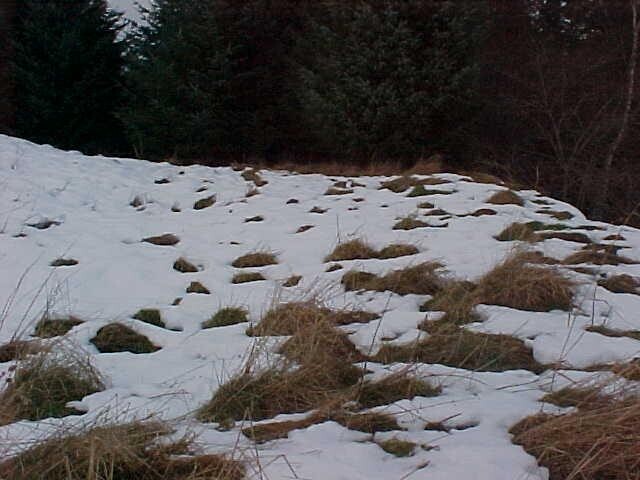 NH54NW0013 l.jpg