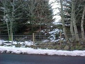 NH54NW0013.jpg