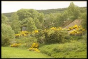 NH54SE0027 - Limekiln, S.Clunes 1 .jpg