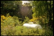 NH54SE0027 - Limekiln, S.Clunes 2.jpg