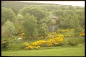 NH54SE0027 - Limekiln, S.Clunes 3.jpg