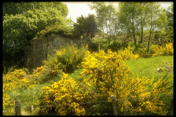 NH54SE0027 - Limekiln, S.Clunes 4.jpg