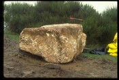 NH54NW0012 - Henge, 'Castle Hill', Muir of Ord 4.jpg