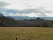 NH54SW0004DJL5.JPG