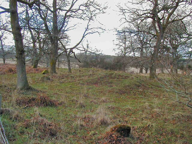 NH54SW0006DJL1.JPG