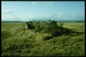 NH54SW0008 - Chambered Cairn, Belladrum South.jpg