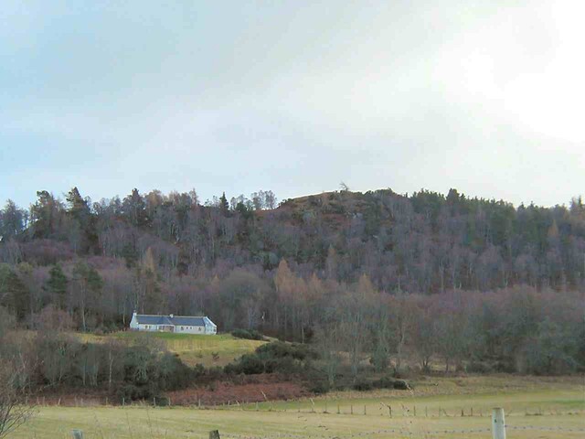 NH54SW0010DJL1.JPG