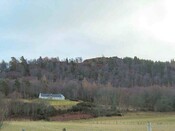 NH54SW0010DJL1.JPG