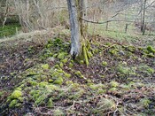 NH54SW0019DJL1.JPG