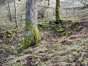 NH54SW0019DJL2.JPG