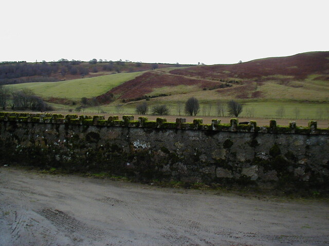NH55NW0008HAW1.JPG