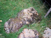 NH56SW0006 Dochnaclear cupmarked stone 2.JPG