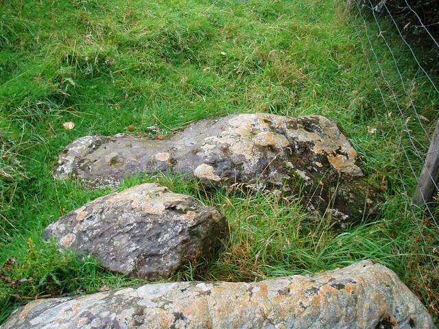NH56SW0006 Dochnaclear cupmarked stone.JPG