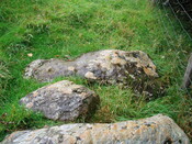 NH56SW0006 Dochnaclear cupmarked stone.JPG