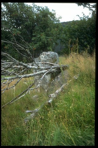 NH59NW0005 - Cairn, Linsidemore, Creich 3.jpg