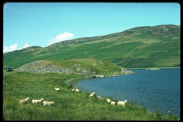 NH62NW0019 - Crannog, Tom Buidhe, Loch Ruthven 1.jpg