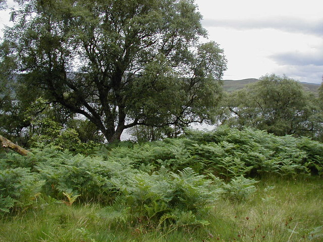 nh62nw0033eve3.JPG