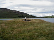 NH62NW0019eve5.JPG