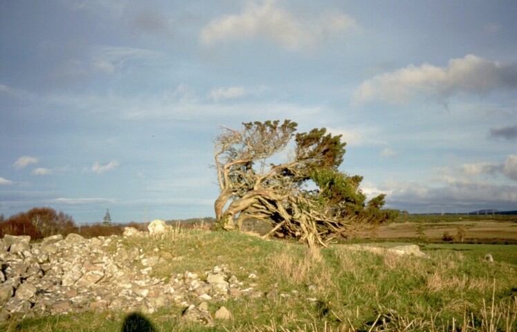 EK_004.jpg