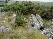 nh63nw0015eve2.JPG