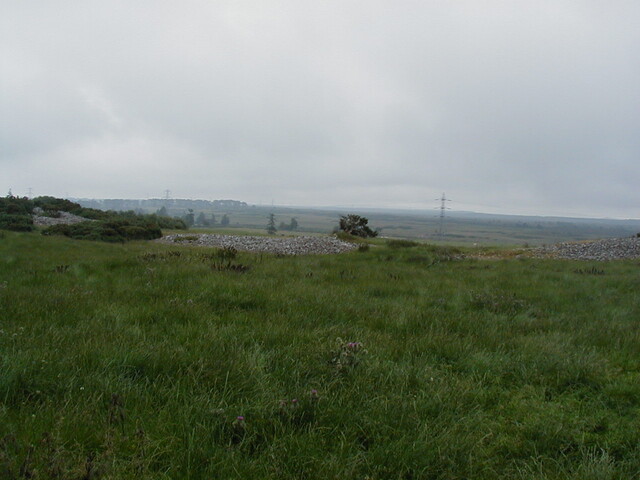 nh63nw0015eve3.JPG