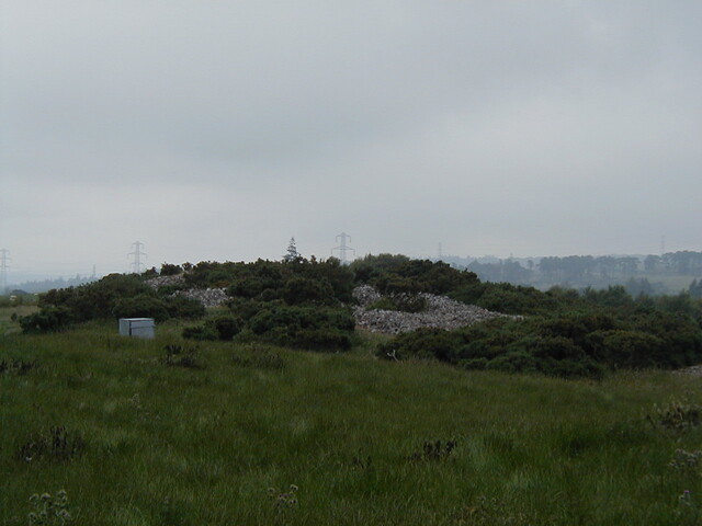 nh63nw0015eve4.JPG