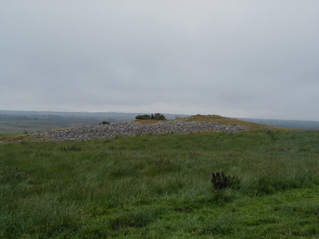 nh63nw0015eve5.JPG