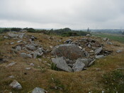 nh63nw0015eve6.JPG