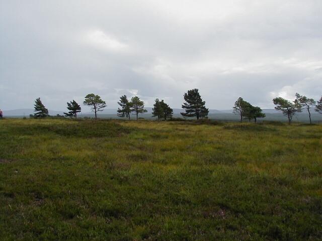 nh63nw0027eve1.JPG
