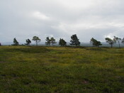 nh63nw0027eve1.JPG