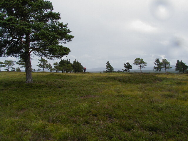 nh63nw0027eve2.JPG