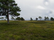nh63nw0027eve2.JPG