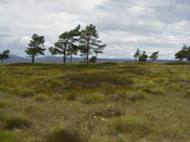 nh63nw0027eve3.JPG