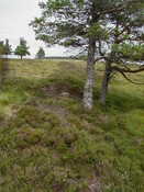nh63nw0027eve4.JPG
