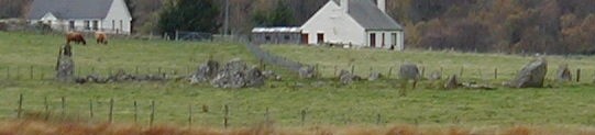 NH63SE0003.jpg