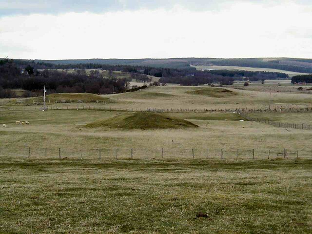 NH63SE0065DJL1.JPG