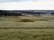 NH63SE0065DJL1.JPG
