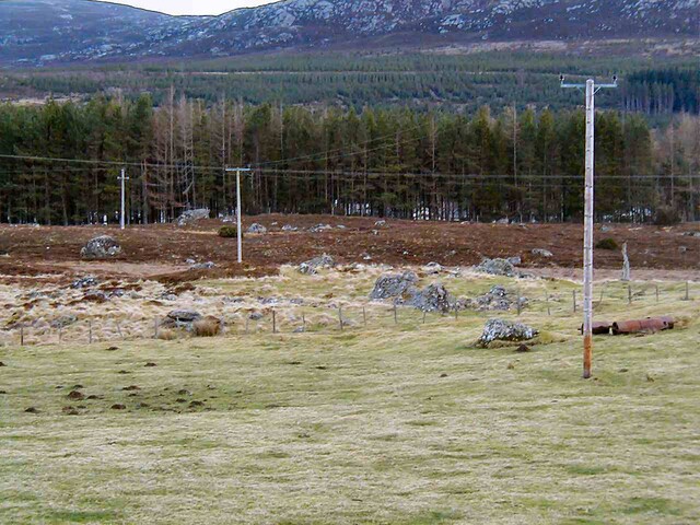 NH63SE0065DJL3.JPG