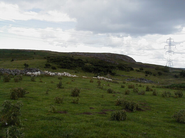 nh63sw0069eve13.JPG