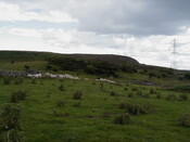 nh63sw0069eve13.JPG