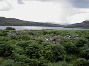 nh63sw0069eve8.JPG
