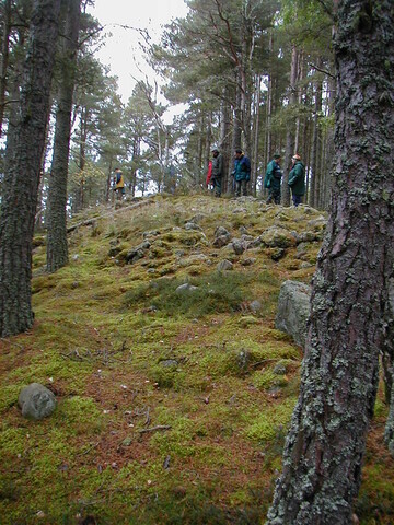 NH64NE0037AW2.jpg