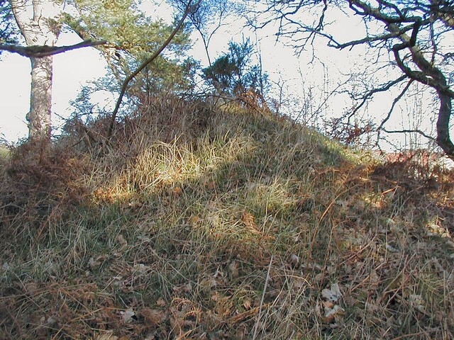NH64SE0029DJL5.JPG